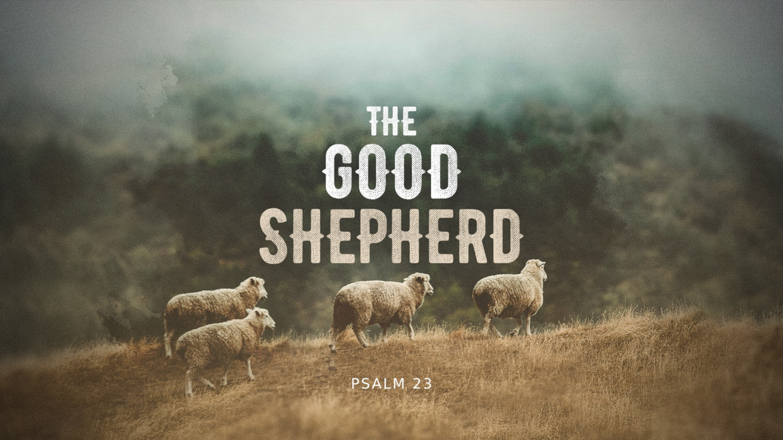 The Good Shepherd Beyond The Walls Community Church